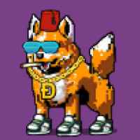 DogePunks #1668