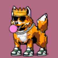DogePunks #58