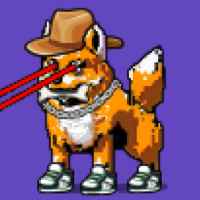 DogePunks #3042