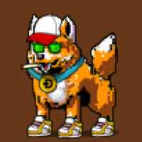 DogePunks #2476