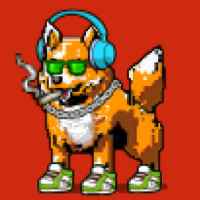 DogePunks #4393