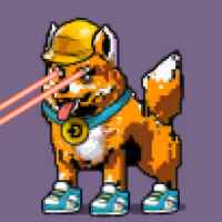 DogePunks #3617