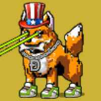 DogePunks #2209