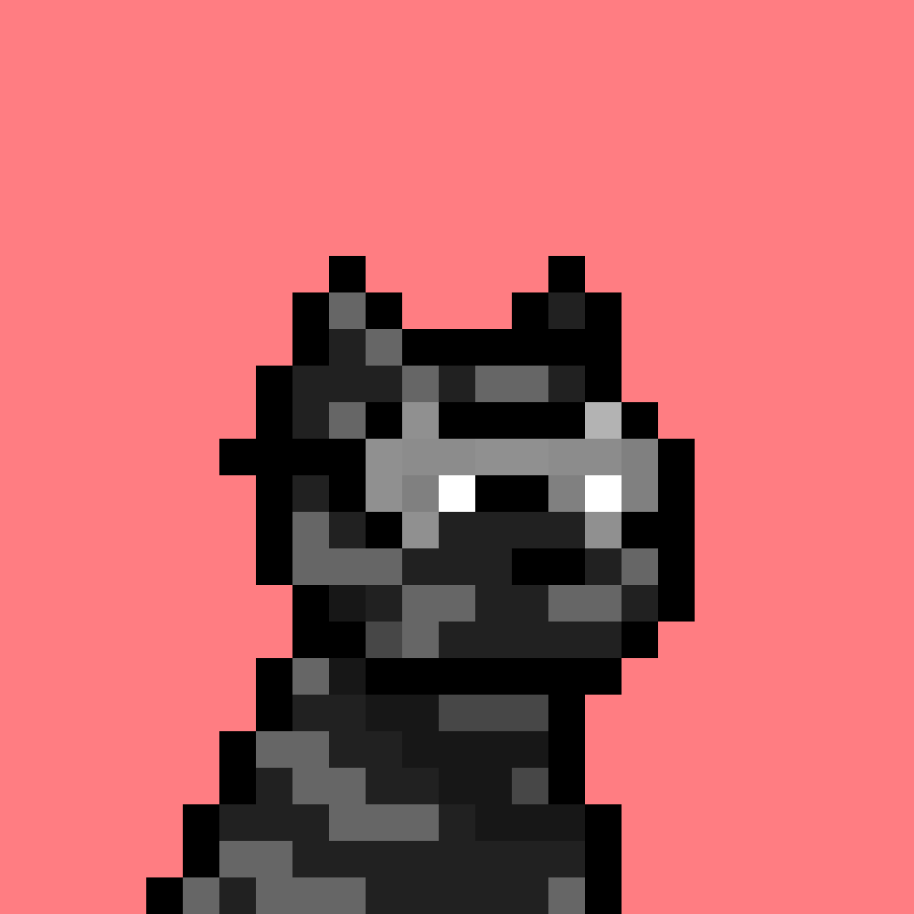 Doginal Dog #6558