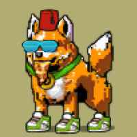 DogePunks #694