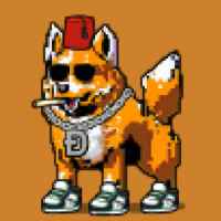 DogePunks #4999