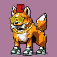DogePunks #1709