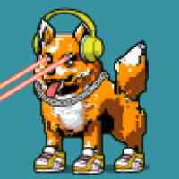 DogePunks #1567