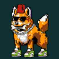 DogePunks #337
