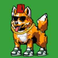 DogePunks #4592