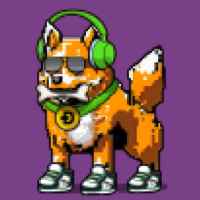 DogePunks #1349