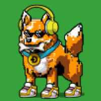 DogePunks #1989