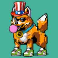 DogePunks #592