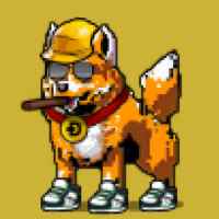 DogePunks #1344