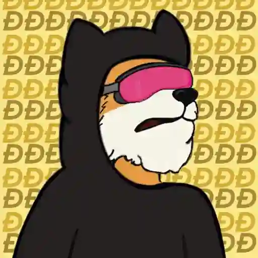 F*ck It We Bark #547