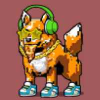 DogePunks #1107