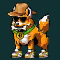 DogePunks #1135