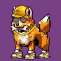 DogePunks #831