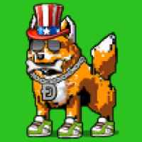 DogePunks #2593