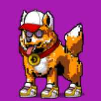 DogePunks #507