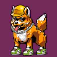 DogePunks #3384
