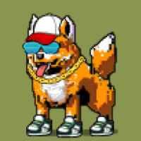 DogePunks #2036