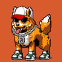DogePunks #1647