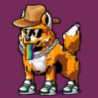 DogePunks #519