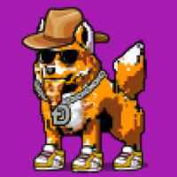 DogePunks #2340