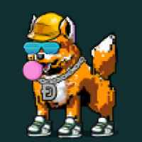 DogePunks #2527