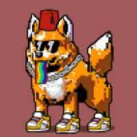 DogePunks #1593