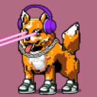 DogePunks #2486
