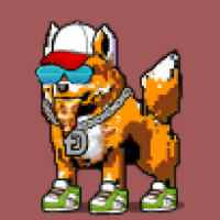 DogePunks #3344