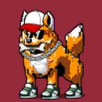 DogePunks #2833