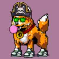 DogePunks #1081