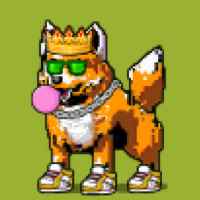 DogePunks #2264