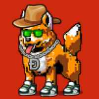 DogePunks #2040