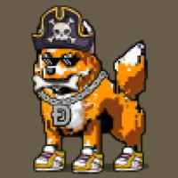 DogePunks #4577