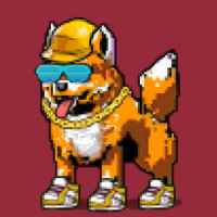 DogePunks #2774