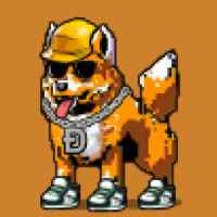 DogePunks #4293