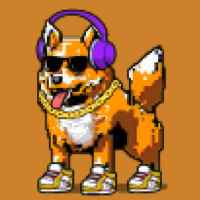 DogePunks #4067