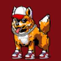 DogePunks #4229