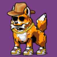 DogePunks #2248