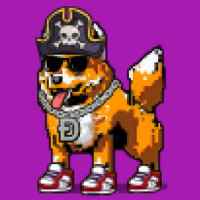 DogePunks #1113