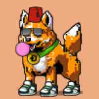 DogePunks #1511