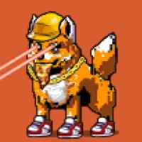 DogePunks #221