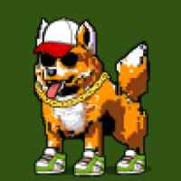 DogePunks #4311