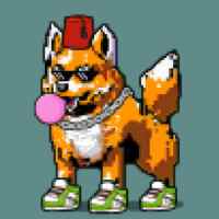 DogePunks #733