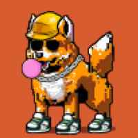 DogePunks #2388