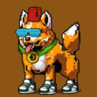 DogePunks #1137